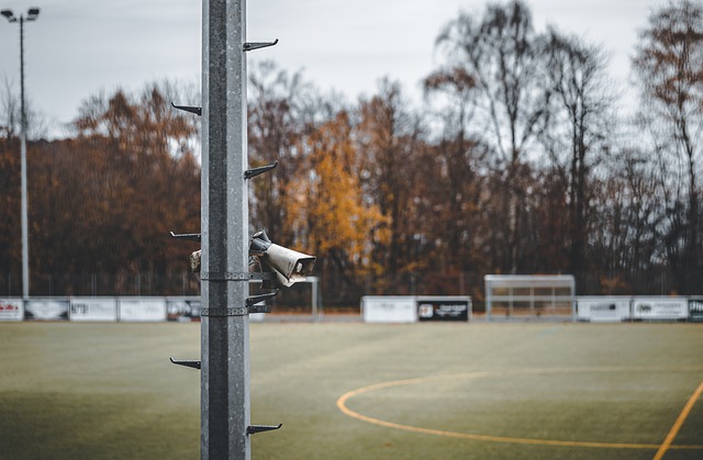 涯中的一个 涯中的一个