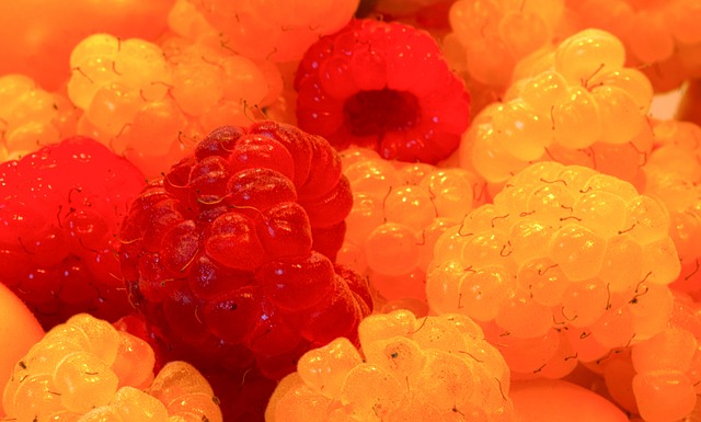 眾多球迷的 眾多球迷的