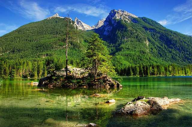 的历史背景