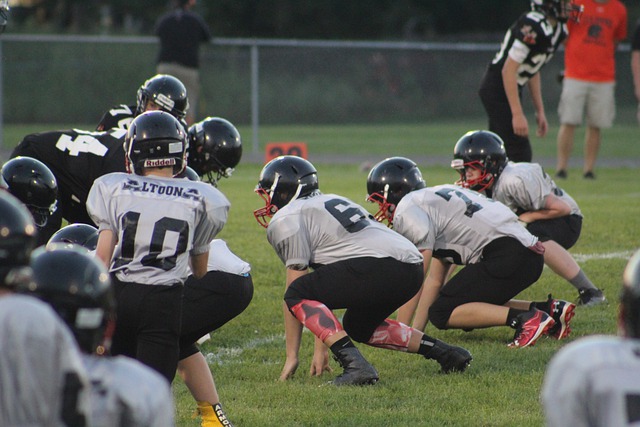 中国的政治 中国的政治