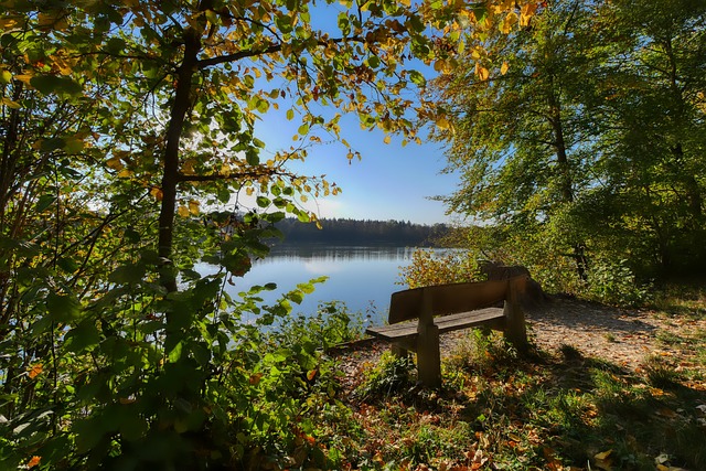 还为球队夺 还为球队夺