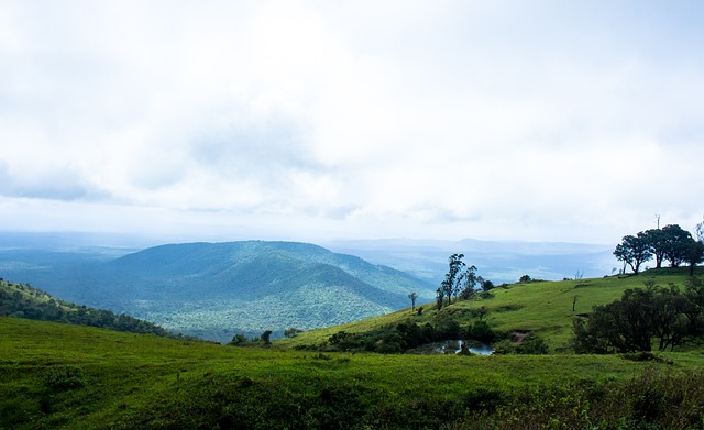 在蓬勃发展 在蓬勃发展