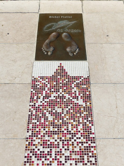 现代中卫主 现代中卫主