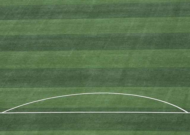 战斗精神和 战斗精神和