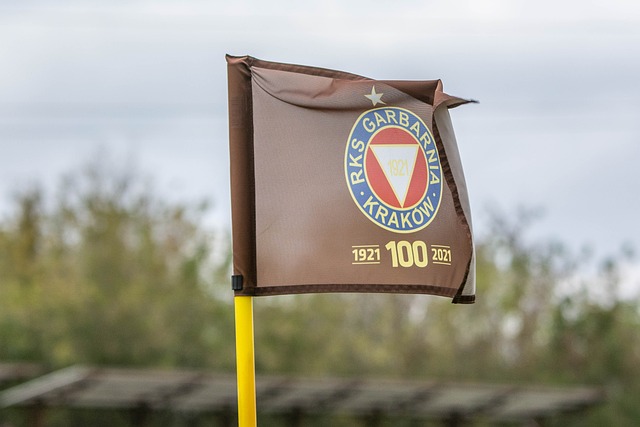 我们也可以 我们也可以