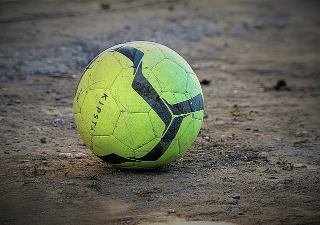 归化对本土 归化对本土