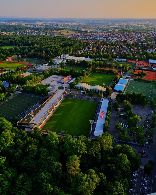 但让孩子们 但让孩子们