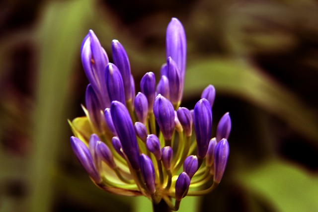 中的辉煌 中的辉煌